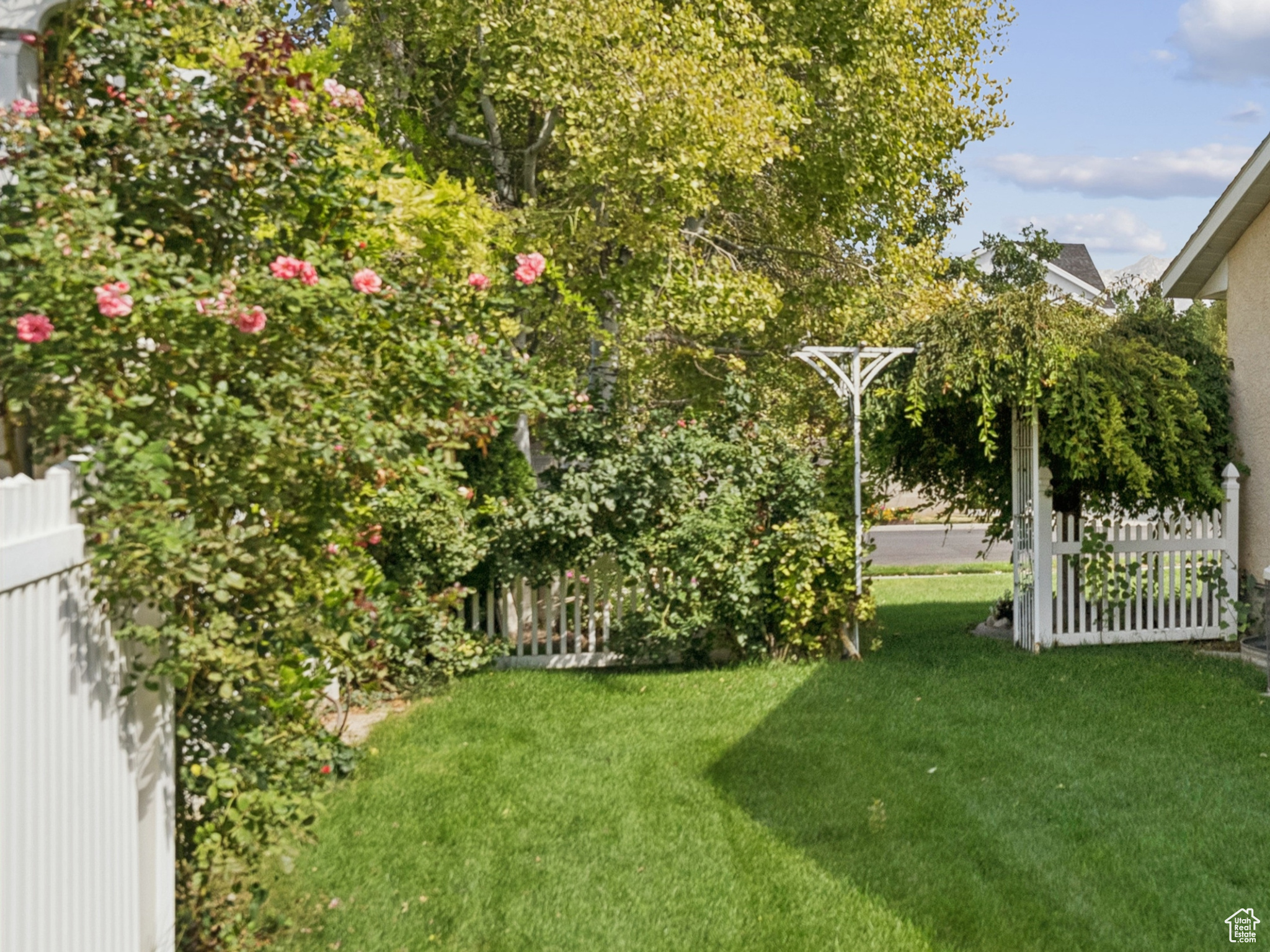 WALDEN RIDGE - Residential