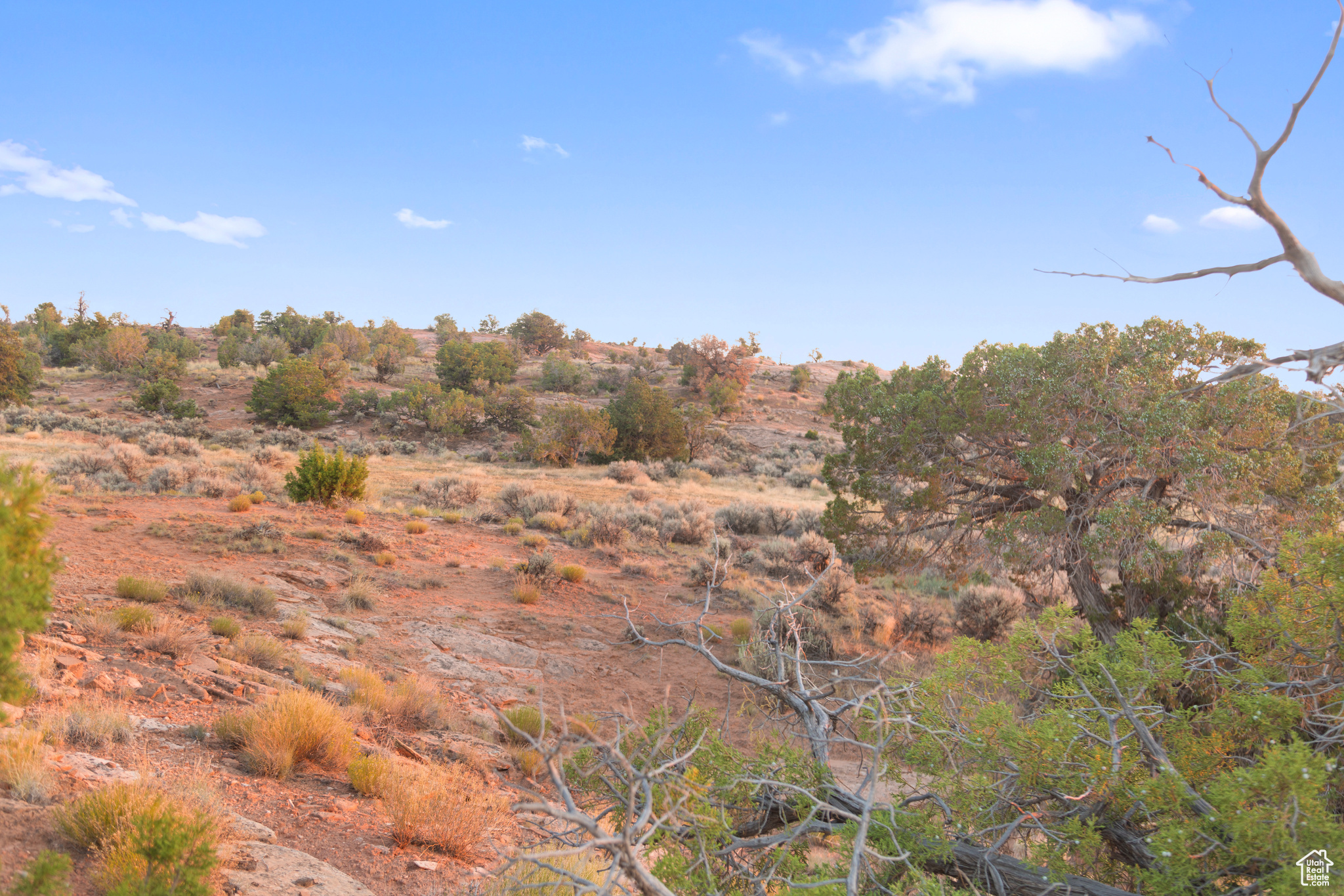 127 Flat Iron Mesa Rd #43, La Sal, Utah image 15