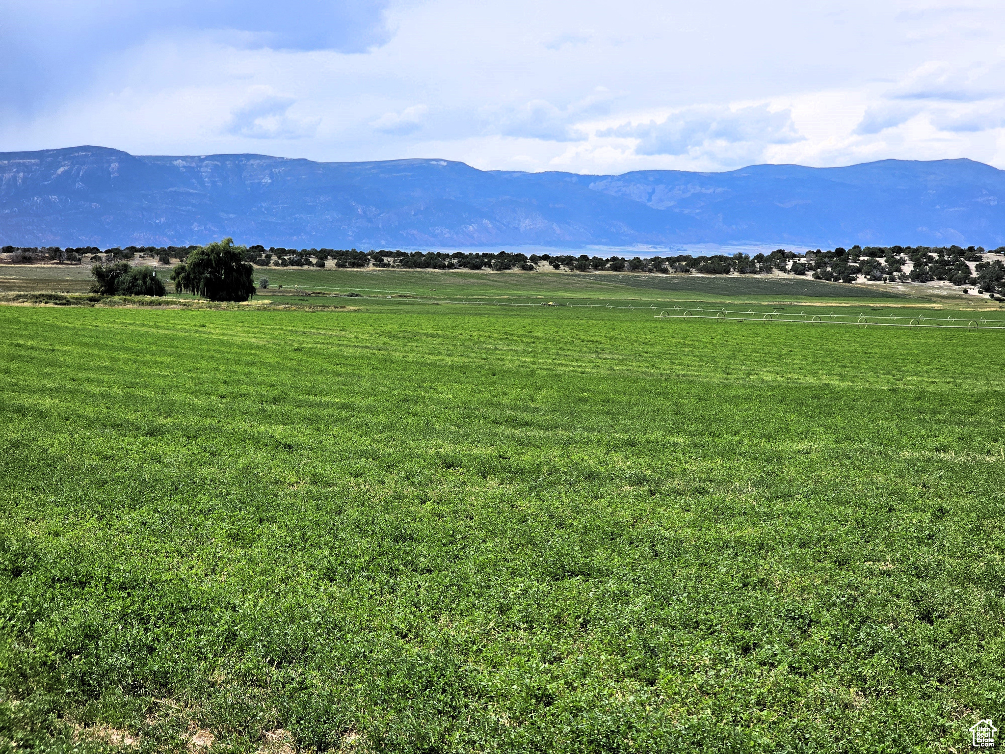 CRAWFORD CIRCLE - Land