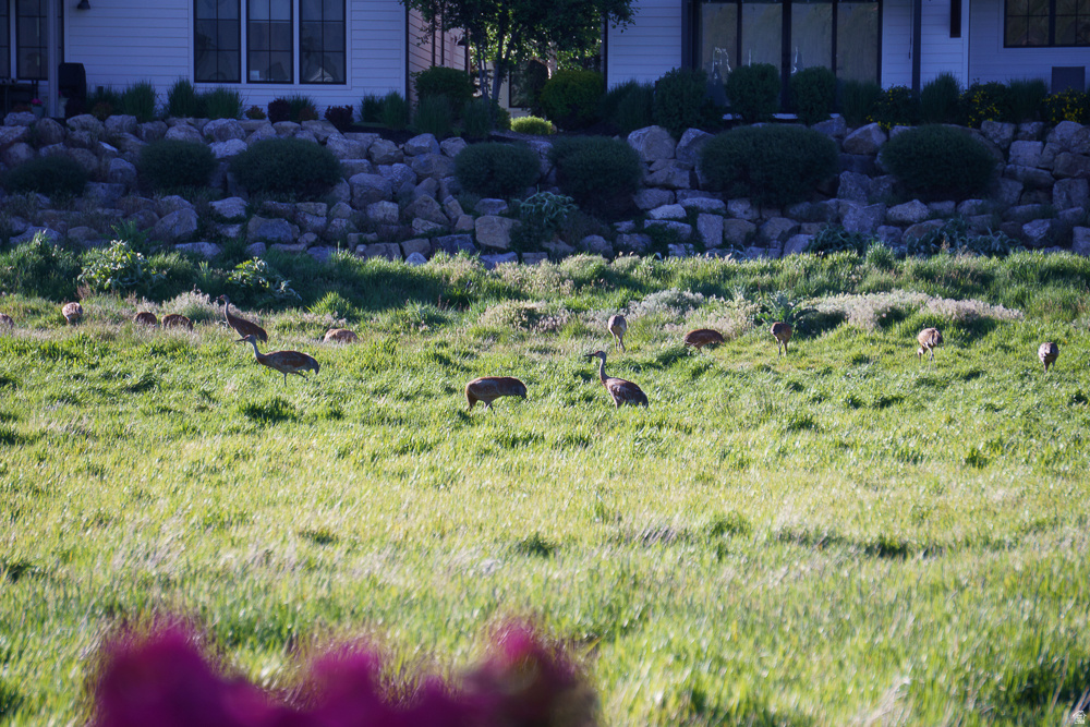 REMUND FARMS - Residential