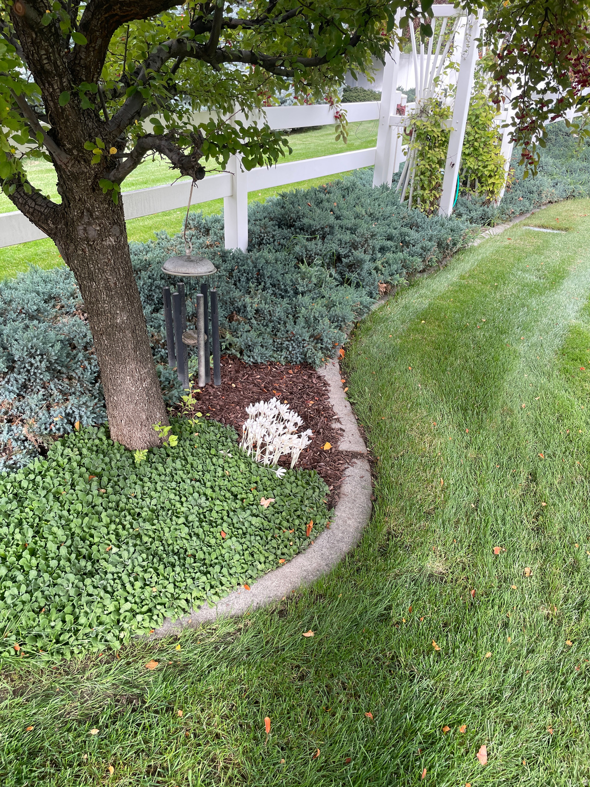 WOOD ESTATES - Residential