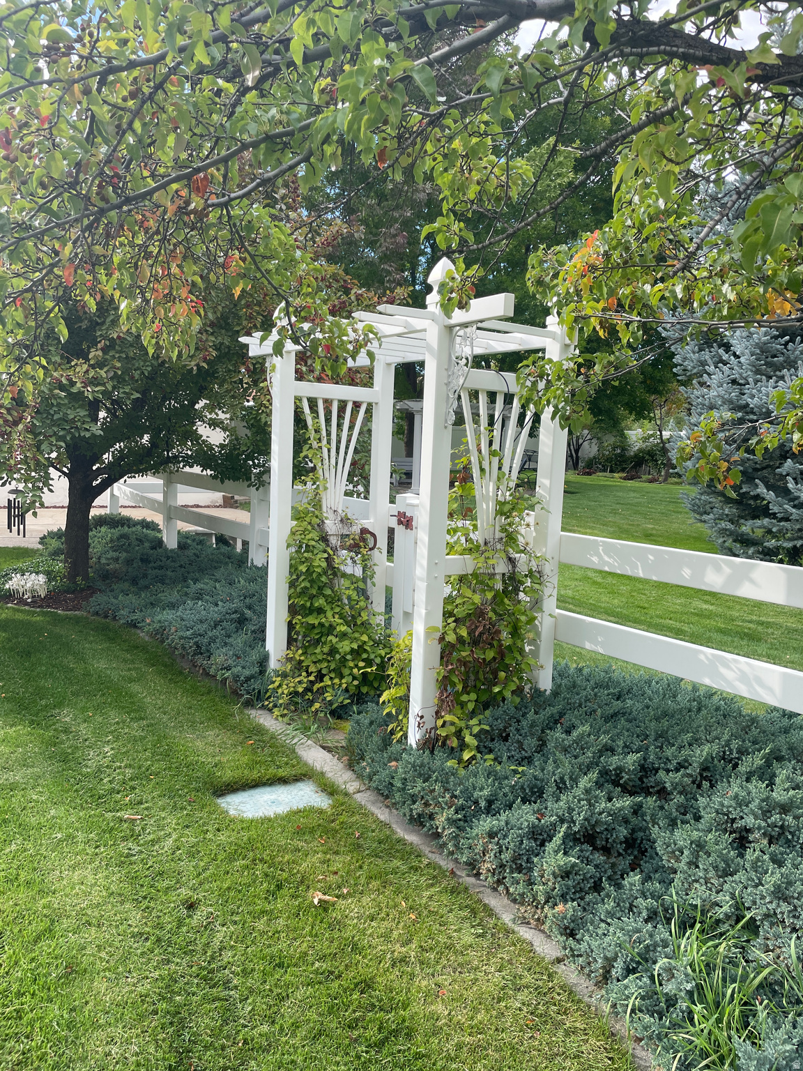 WOOD ESTATES - Residential