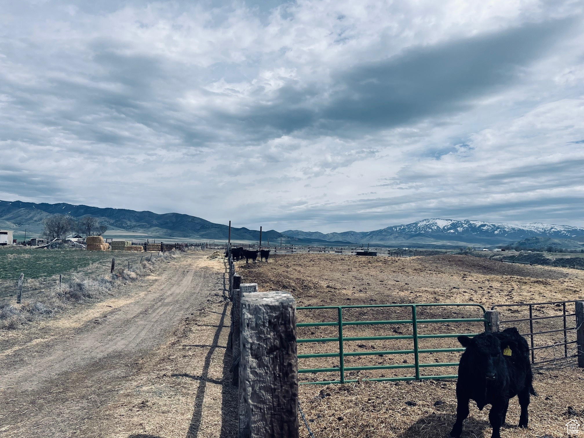 4270 W 2000, Malad City, Idaho image 30
