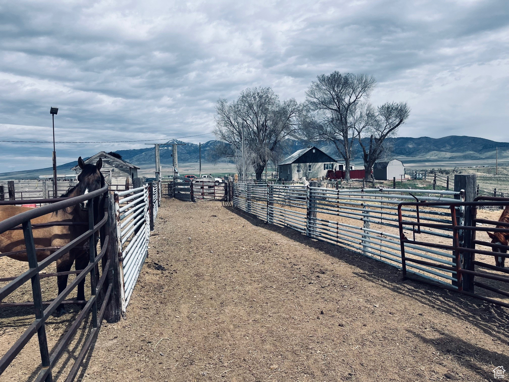 4270 W 2000, Malad City, Idaho image 24