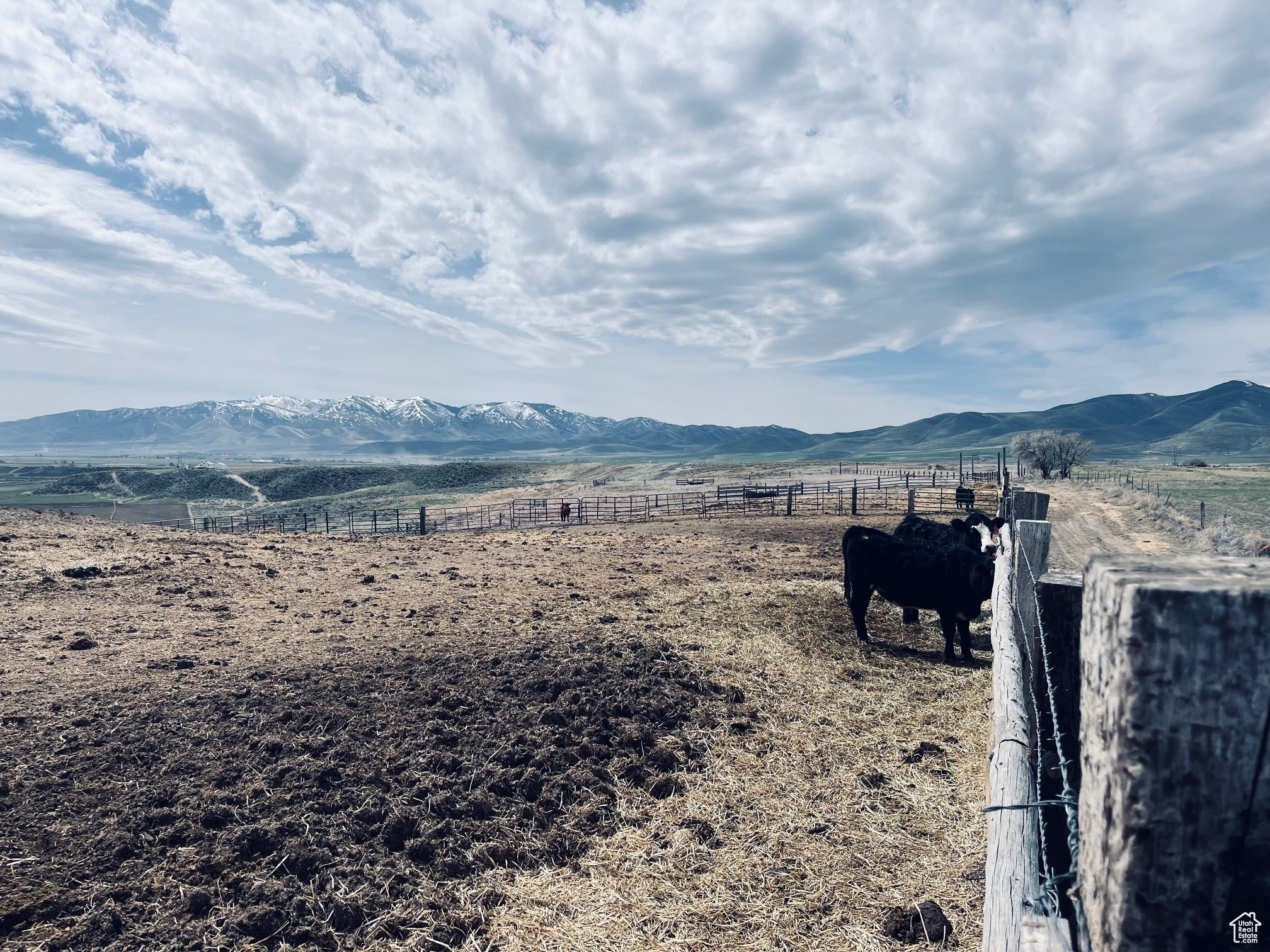 4270 W 2000, Malad City, Idaho image 29