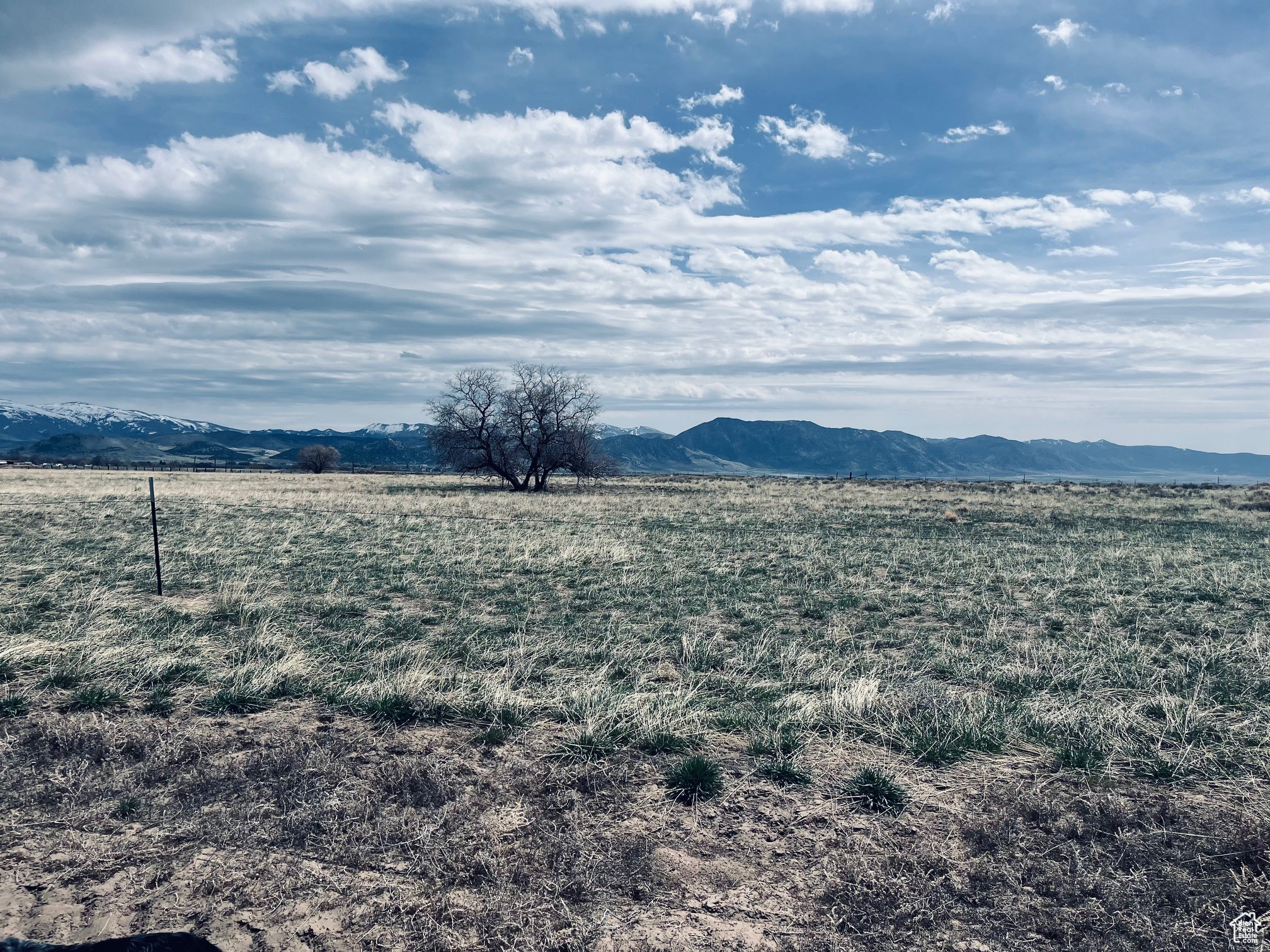 4270 W 2000, Malad City, Idaho image 37