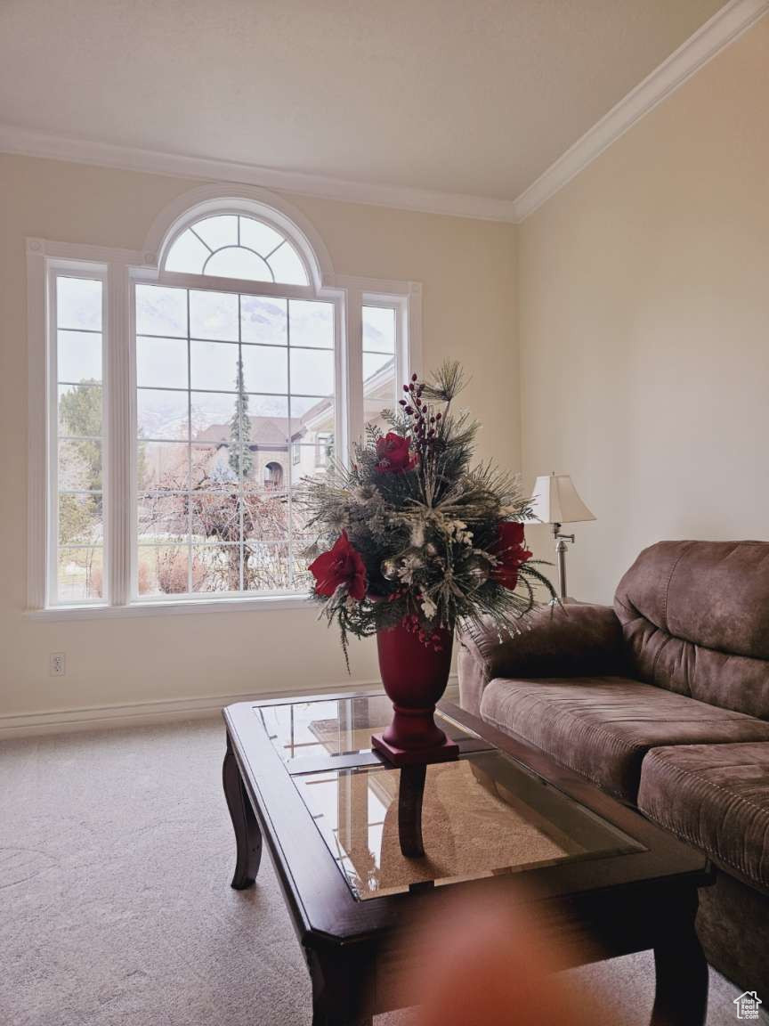 552 S Ridge Ln, Alpine, Utah image 8