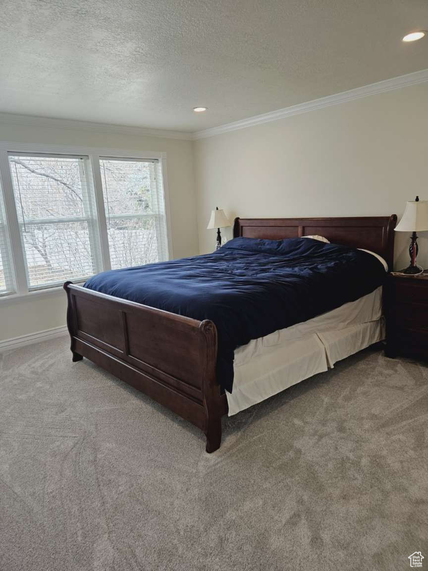 552 S Ridge Ln, Alpine, Utah image 25