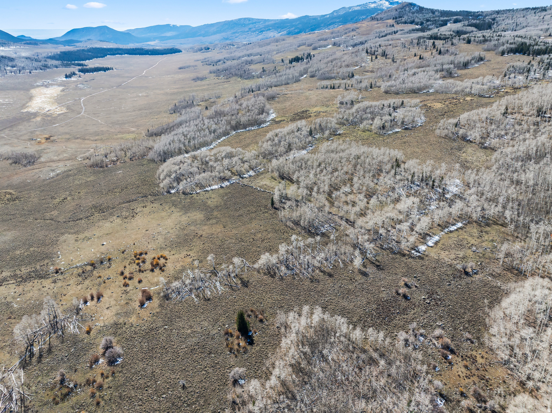 SHEEP VALLY ESTATES - Land