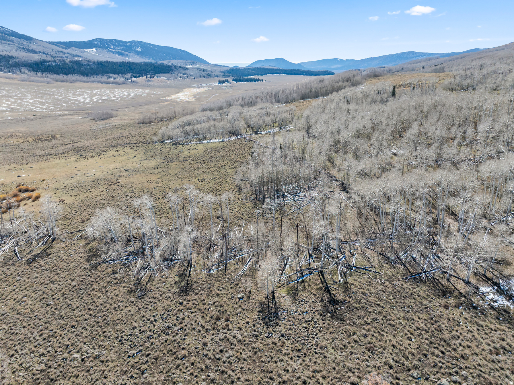 SHEEP VALLY ESTATES - Land