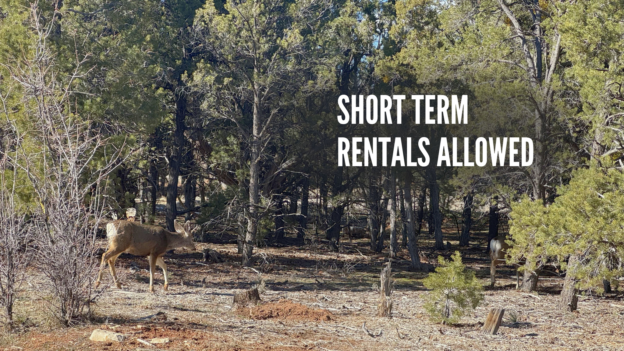 ZION PONDEROSA RANCH RESORT - Residential