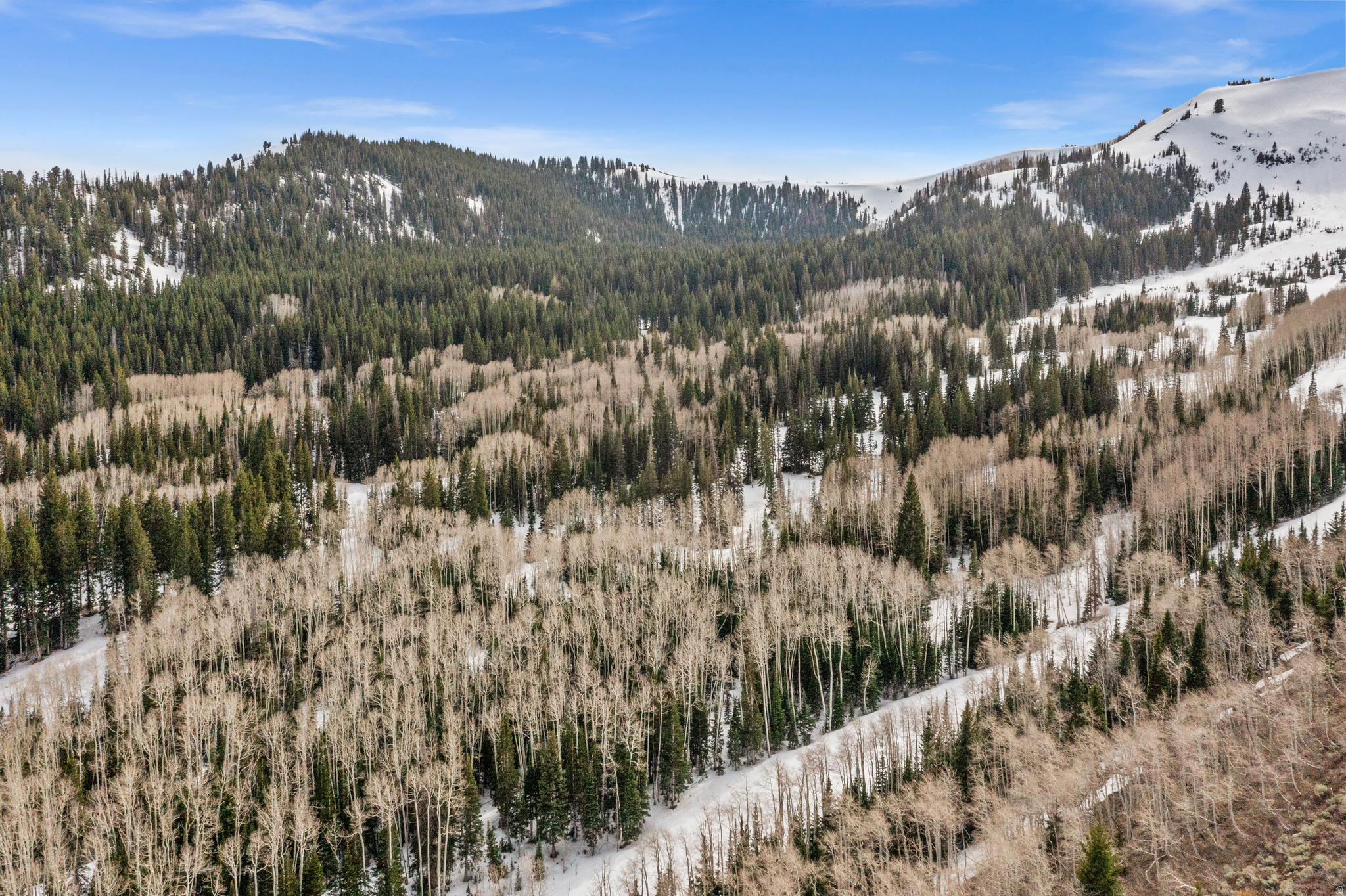 COLONY AT WHITE PINE CANYON - Land