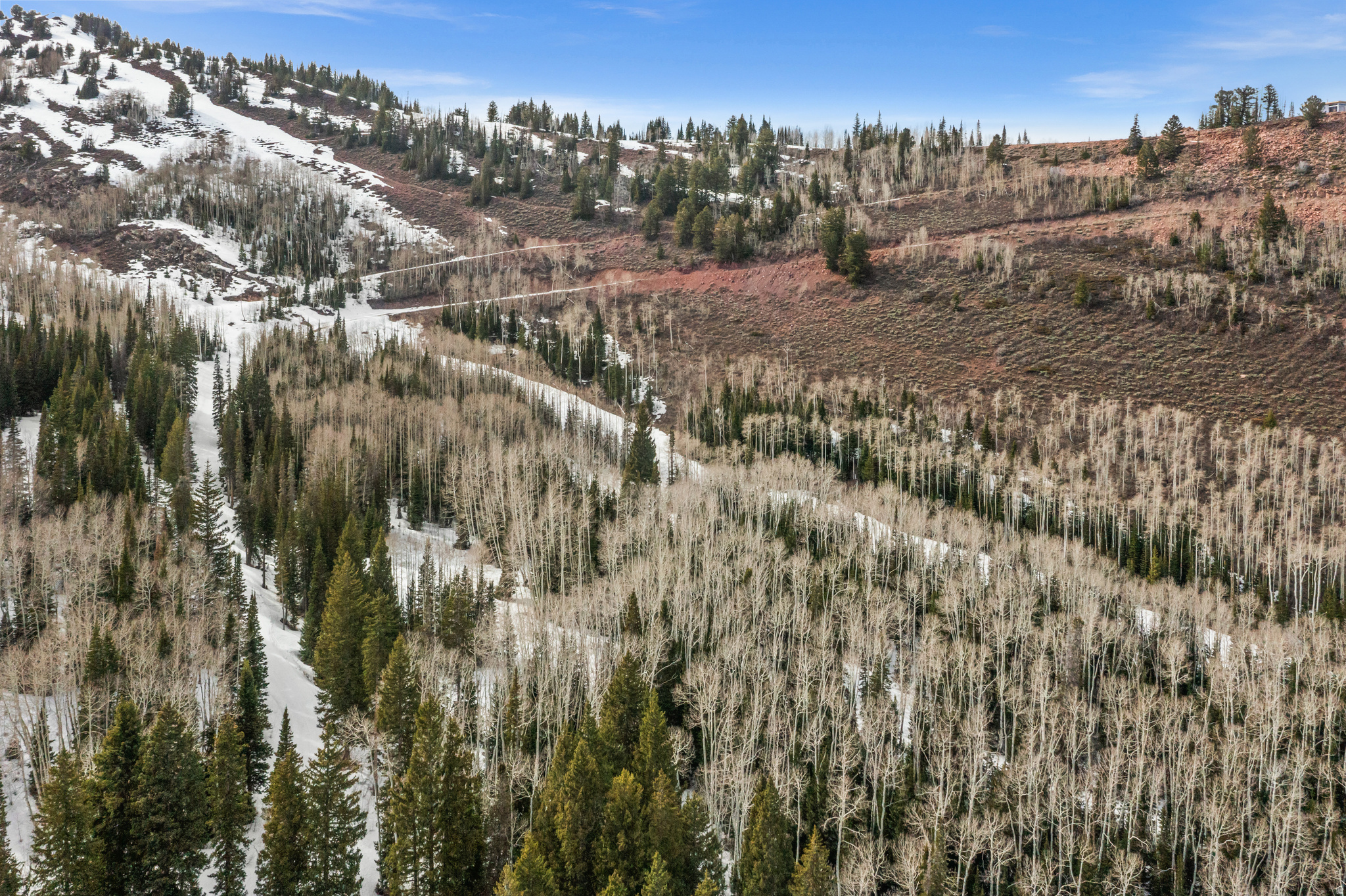 COLONY AT WHITE PINE CANYON - Land