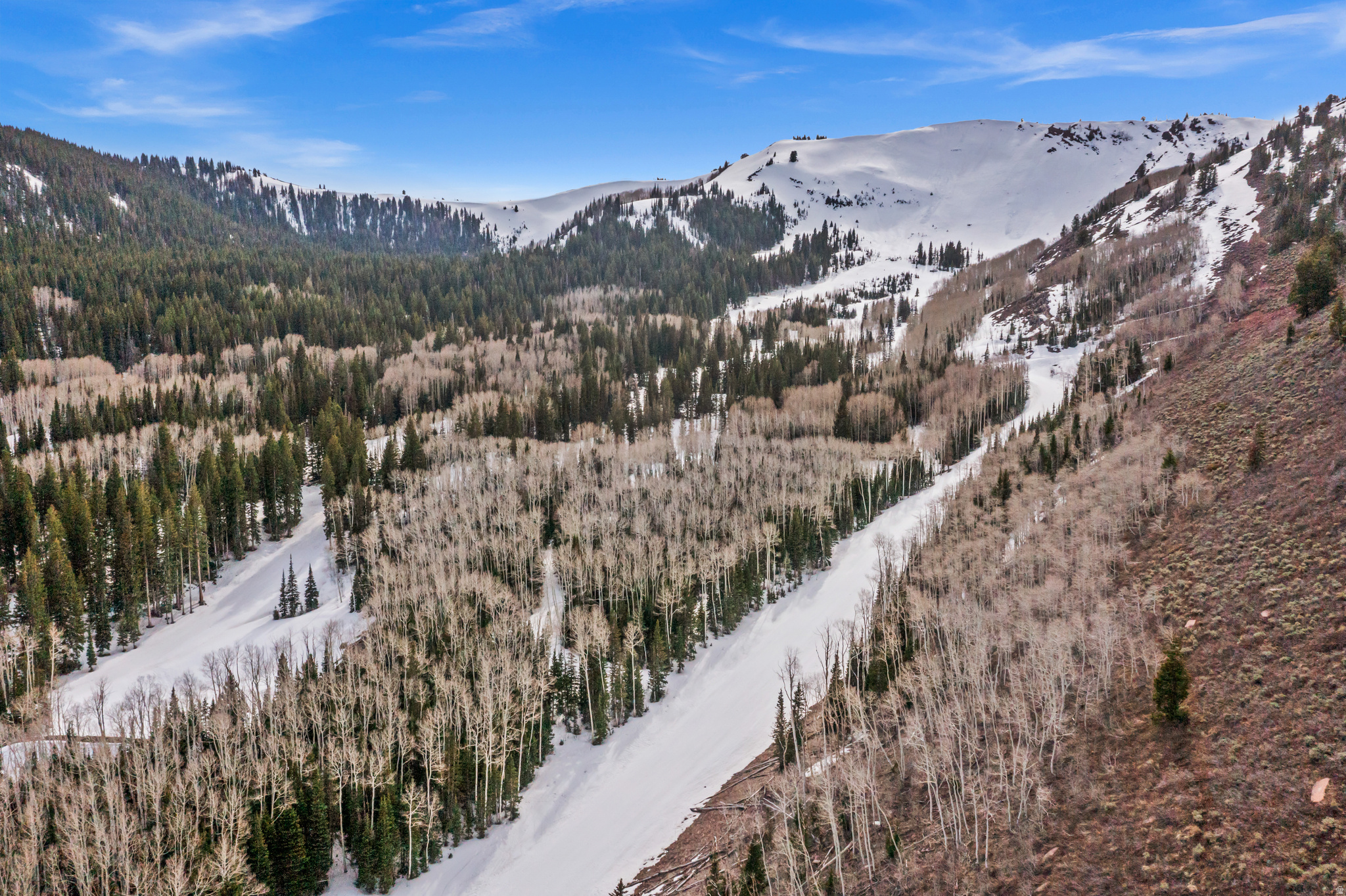 COLONY AT WHITE PINE CANYON - Land