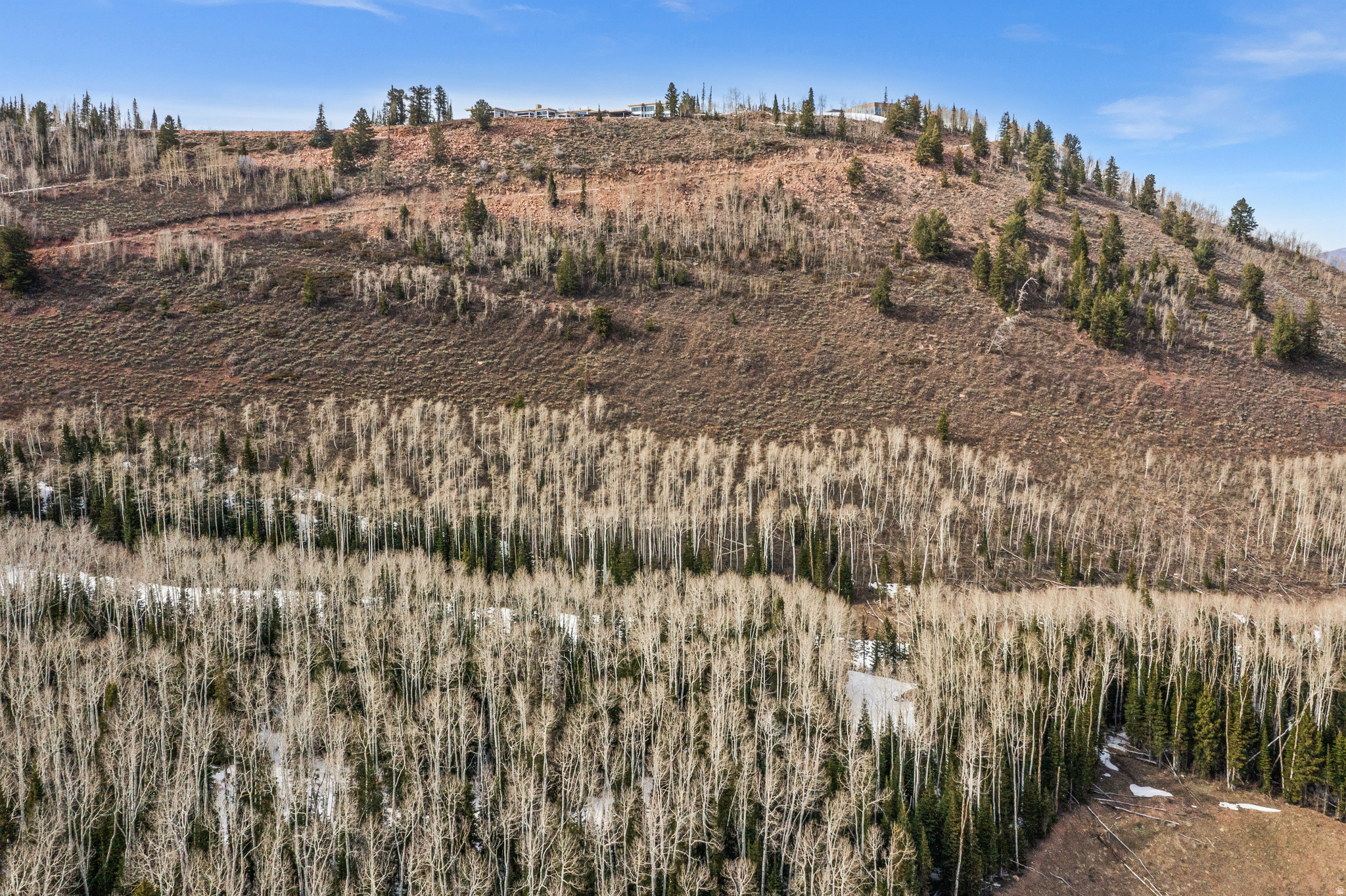 COLONY AT WHITE PINE CANYON - Land