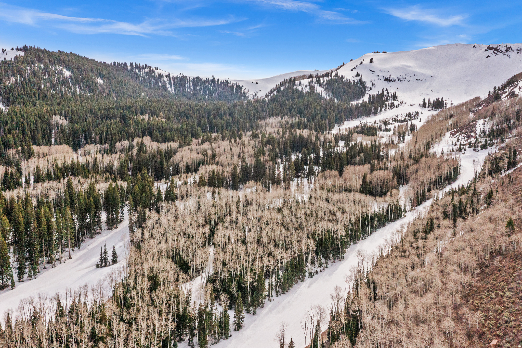 COLONY AT WHITE PINE CANYON - Land