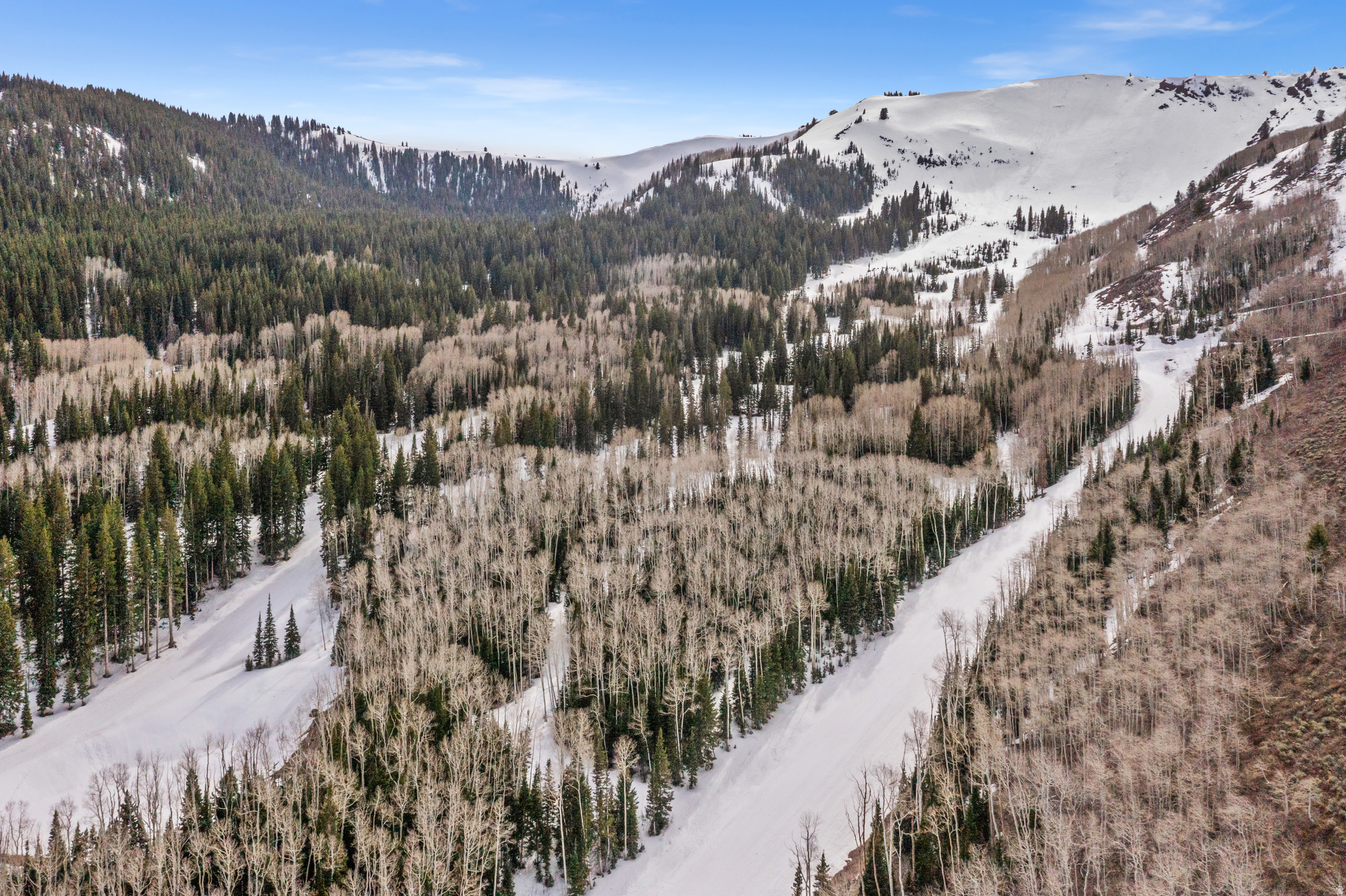 COLONY AT WHITE PINE CANYON - Land