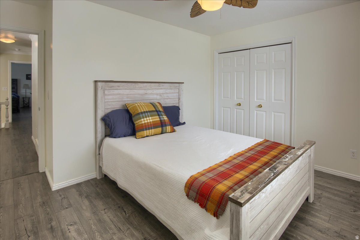 MOUNT LOGAN - Residential