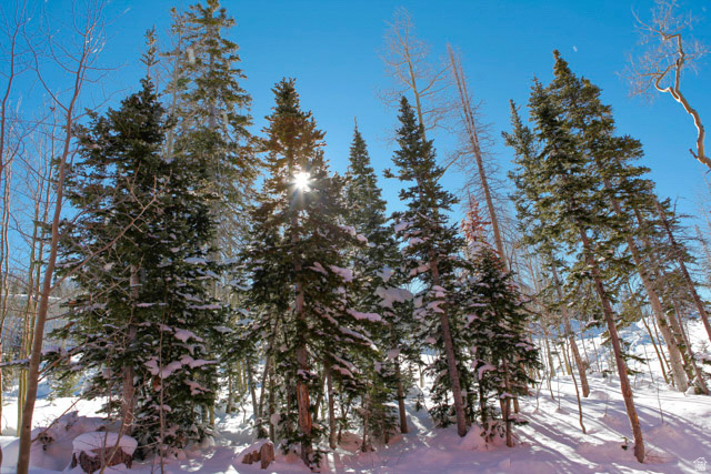 GIANT STEPS CONDOMINIUMS - Residential