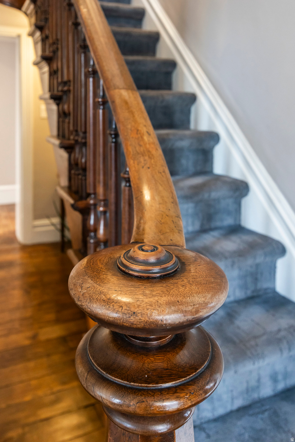 CAPITOL HILL - Residential