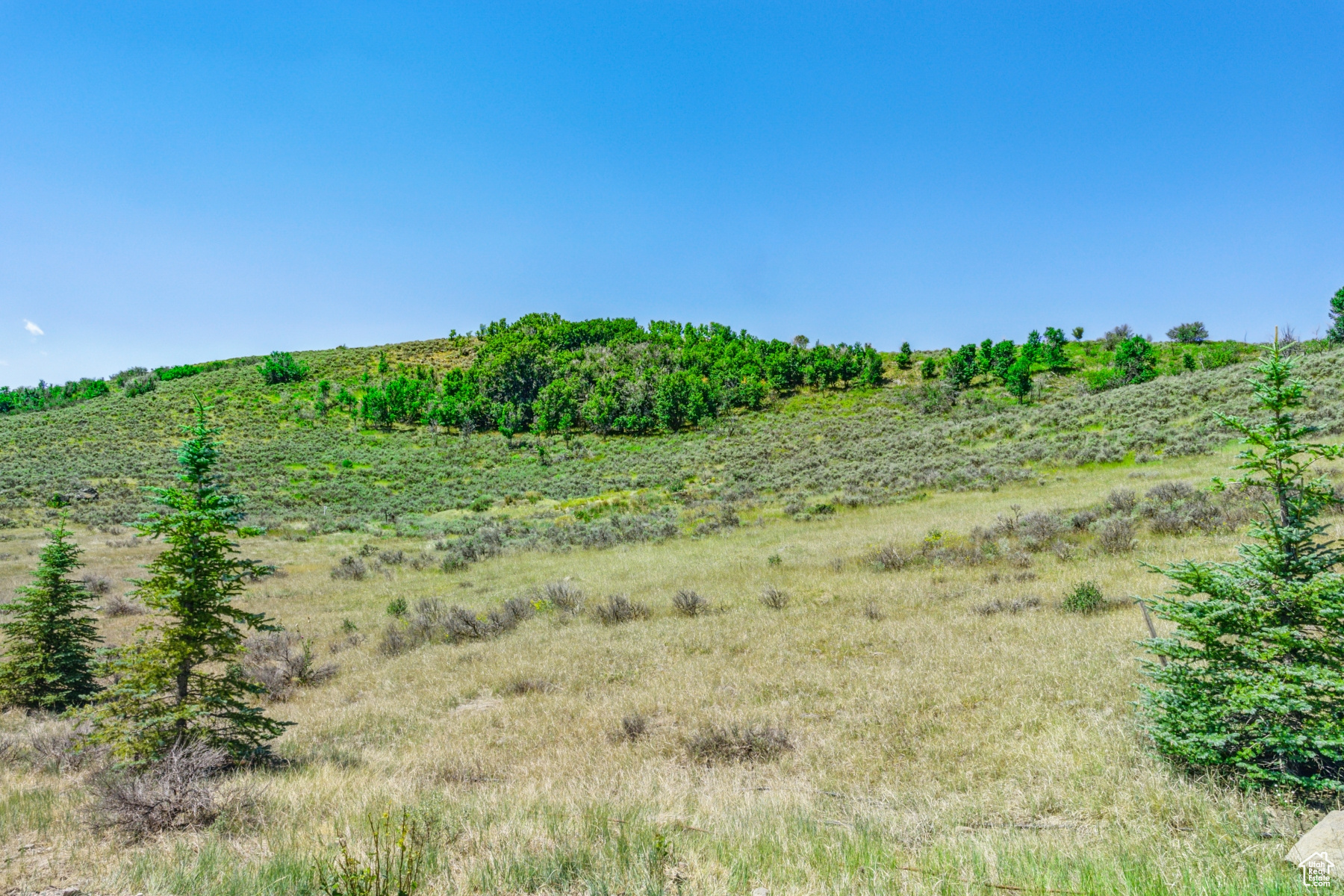 6297 Painted Valley Pass #40, Park City, Utah image 9