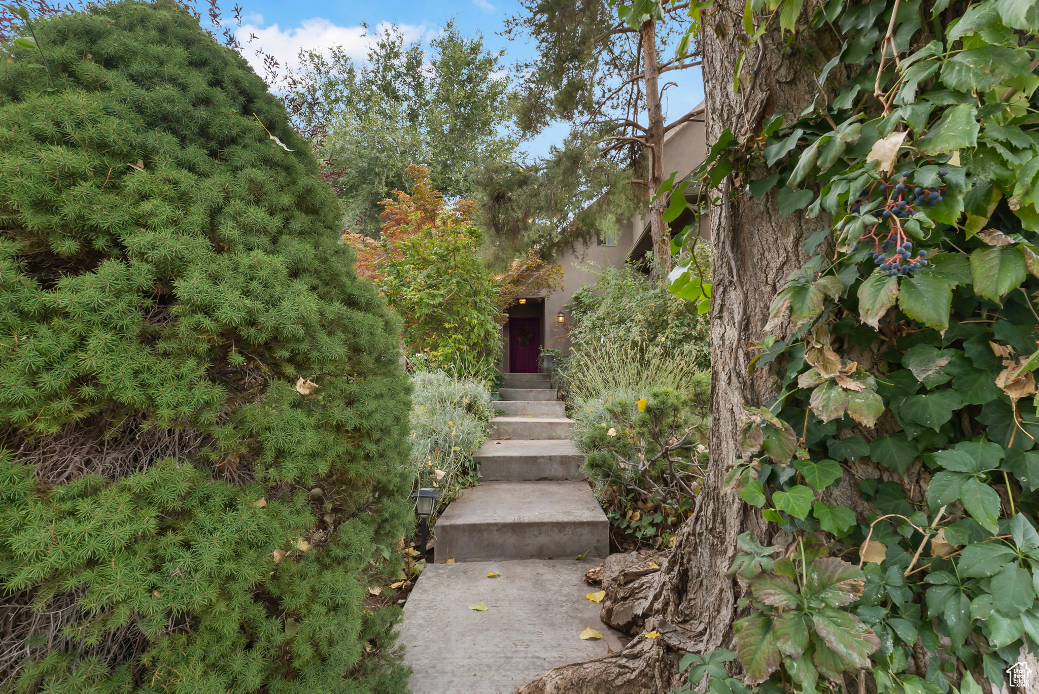 AMENDED HIGHLANDS PL - Residential