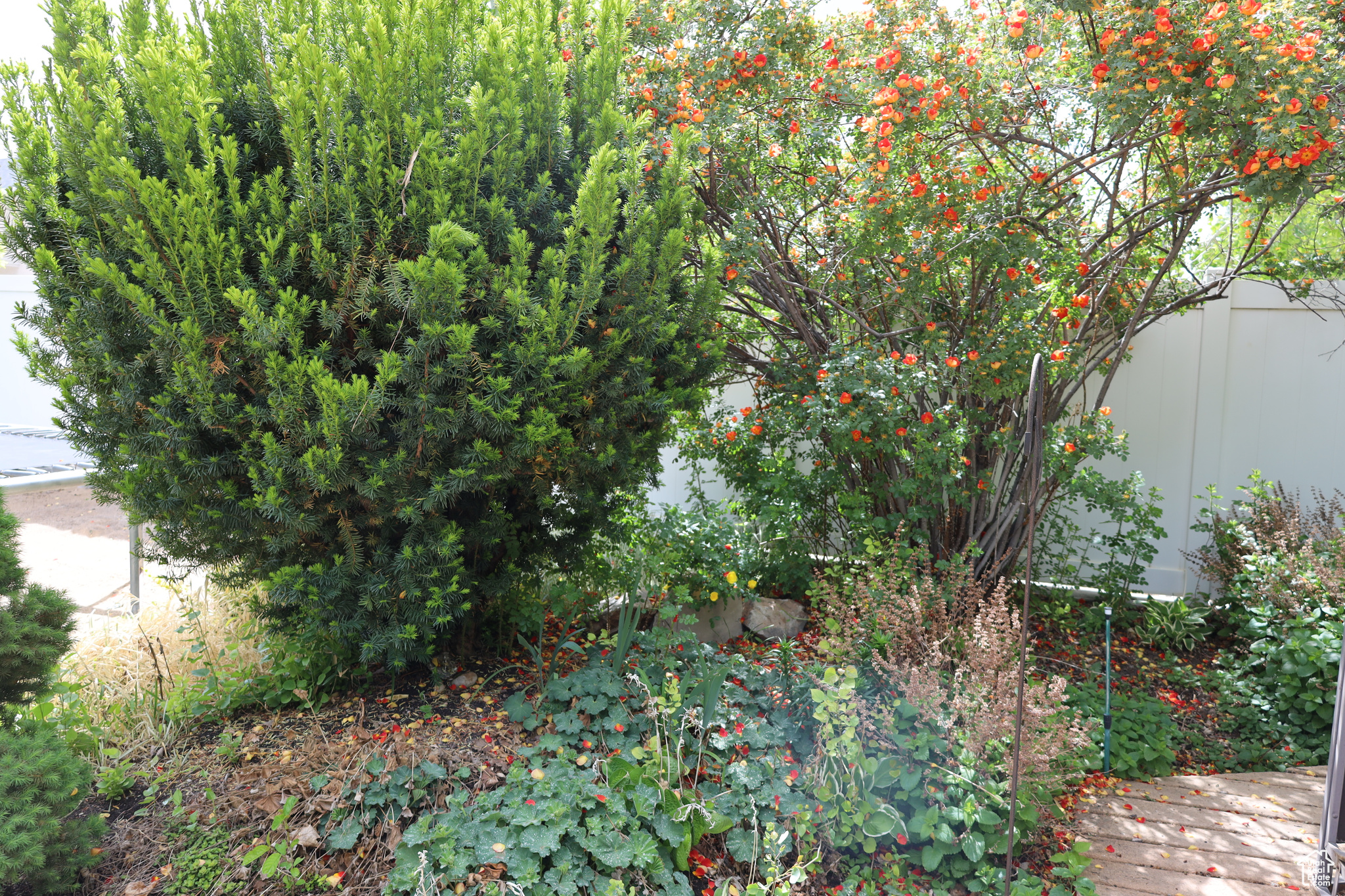5208 W Case Mountain Rd, West Jordan, Utah image 23