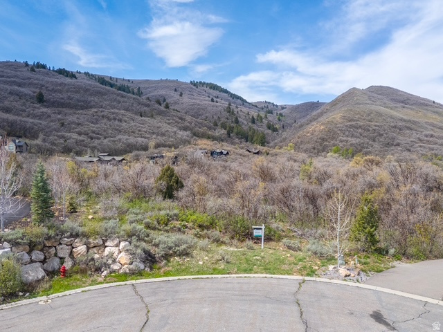 CRIMSON RIDGE - Land