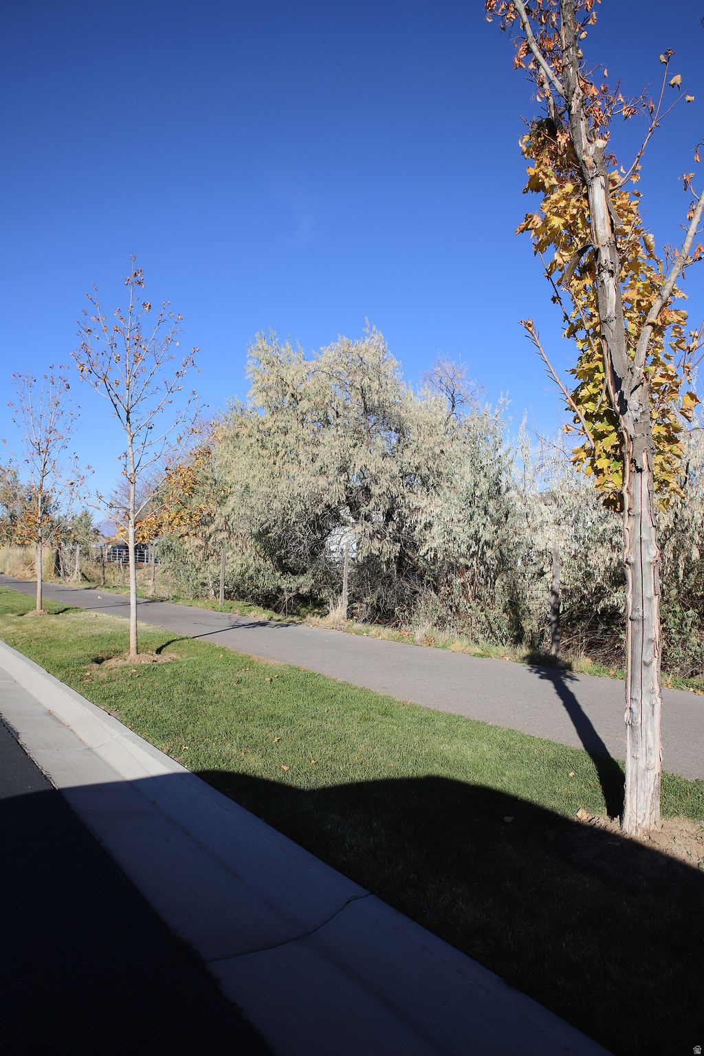 THE COURTYARD AT GREEN FARM - Residential