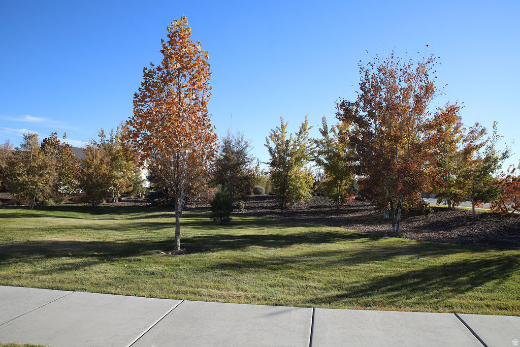 THE COURTYARD AT GREEN FARM - Residential