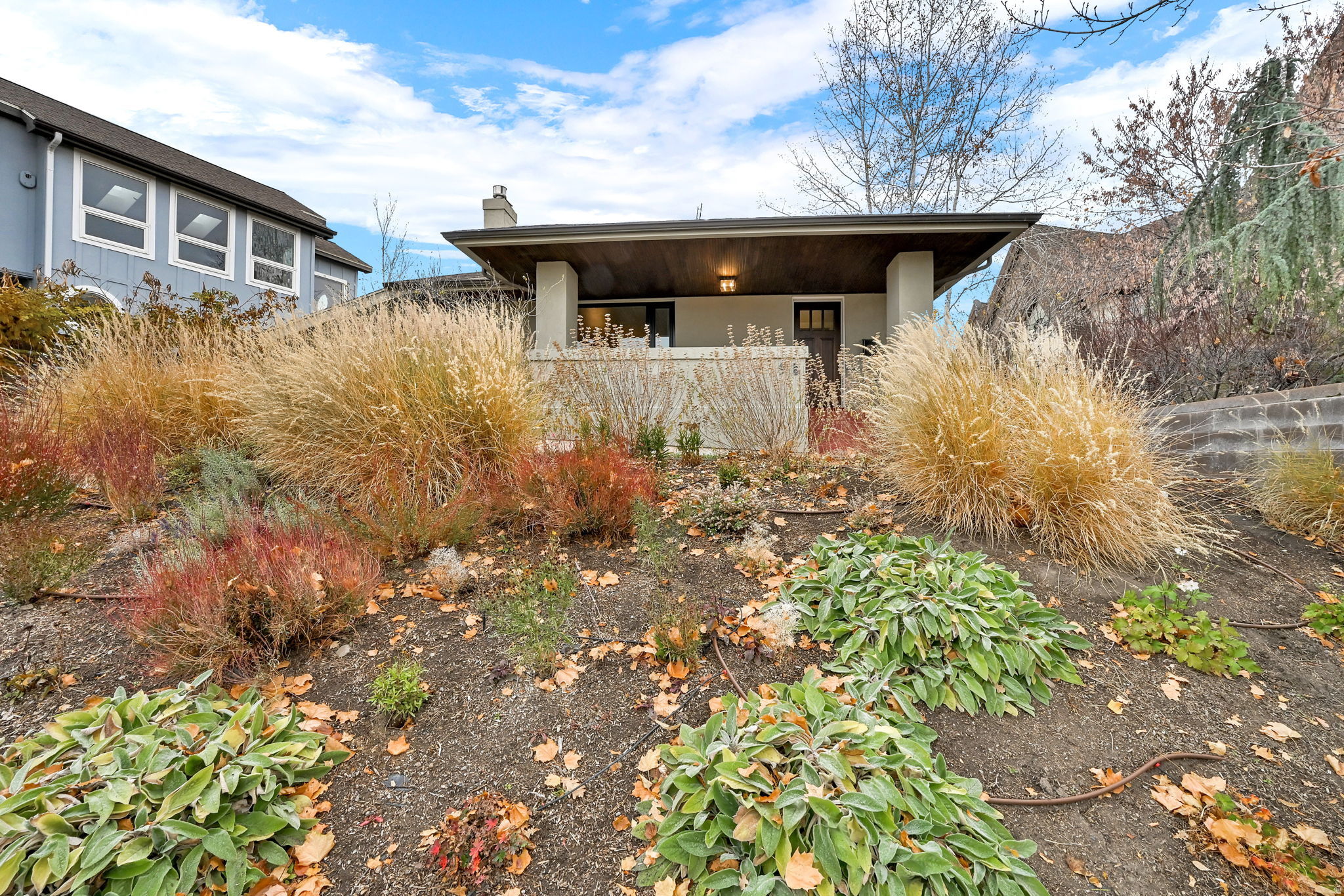 DOUGLAS PARK - Residential