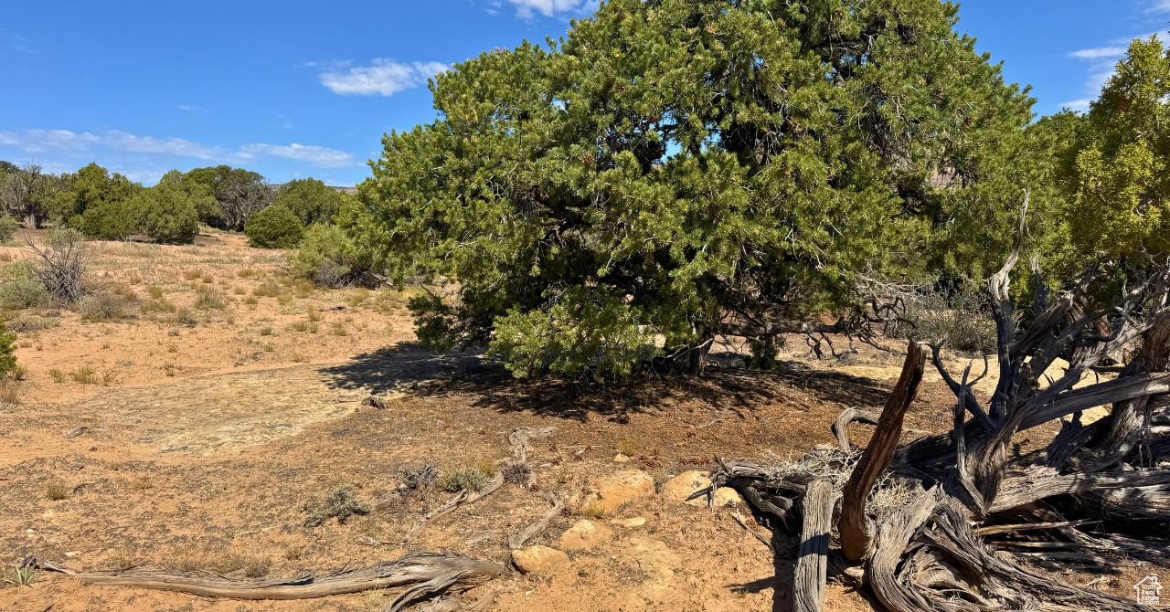 COYOTE HILLS SOUTH - Land