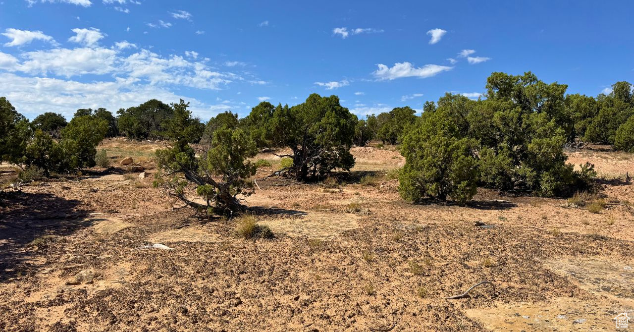 COYOTE HILLS SOUTH - Land
