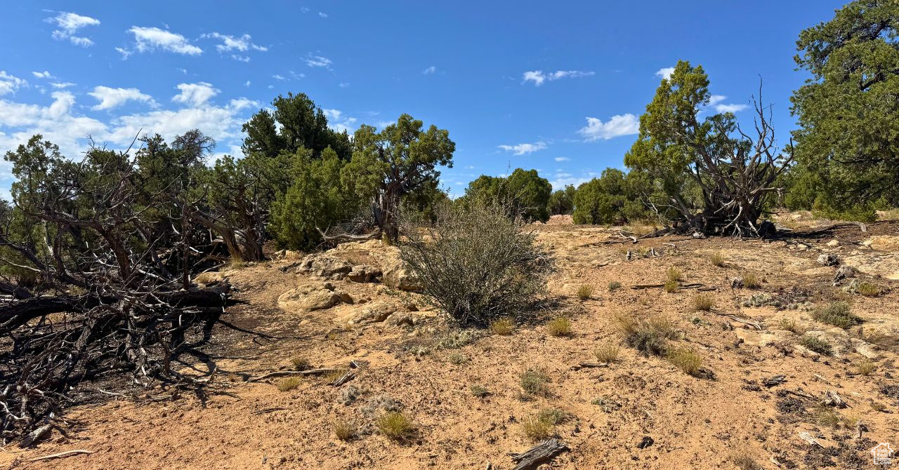 COYOTE HILLS SOUTH - Land