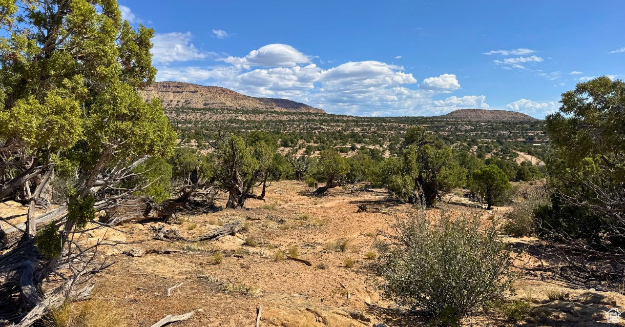 COYOTE HILLS SOUTH - Land