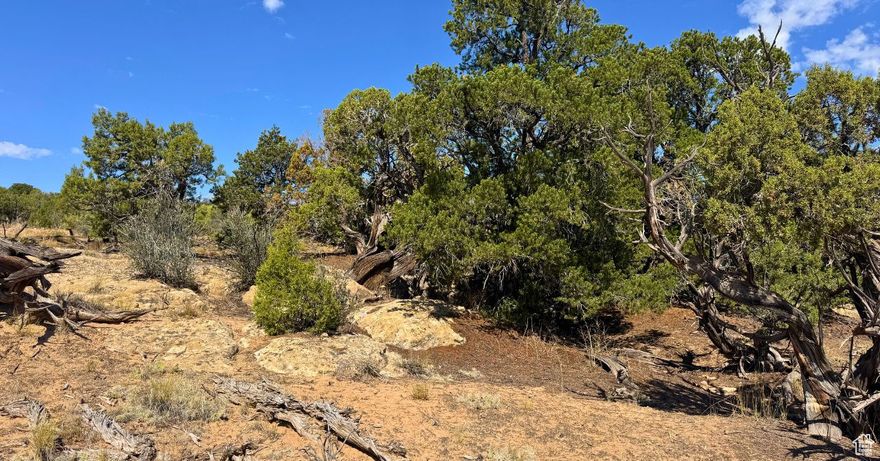 Take in sweeping mountain and desert views from this 5-acre off-grid parcel in Coyote Hills South, located northwest of Duchesne and close to Starvation Reservoir. Elevated terrain offers incredible scenery, privacy, and multiple flat spots for camping or building.  Perfect for recreation, RV use, or an off-grid cabin, with water rights available to drill a private well at buyer's expense. The land features scattered junipers, sandstone outcroppings, and big-sky vistas in every direction.  About 20 minutes from Duchesne City for groceries, restaurants, and fuel. Great opportunity for off-grid living, outdoor adventure, or long-term land investment. Owner financing available through Mountains West Ranches.