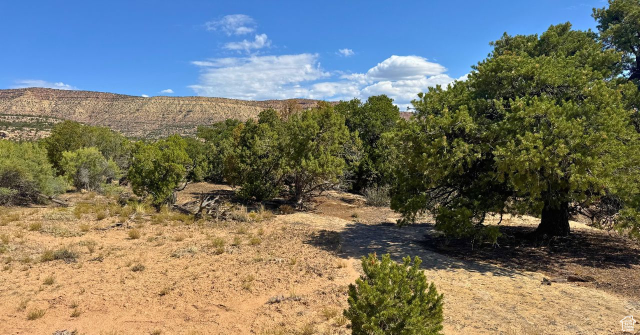 COYOTE HILLS SOUTH - Land