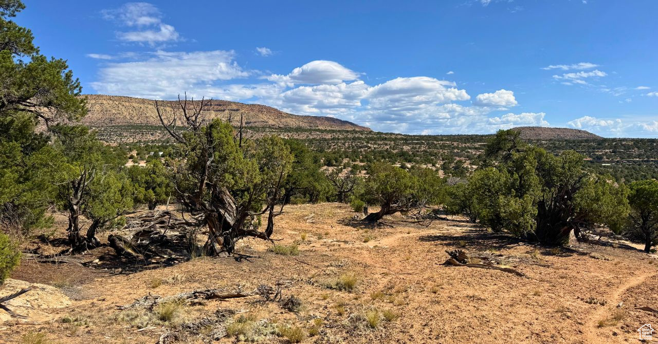 COYOTE HILLS SOUTH - Land