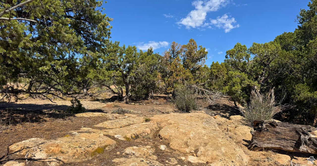 COYOTE HILLS SOUTH - Land