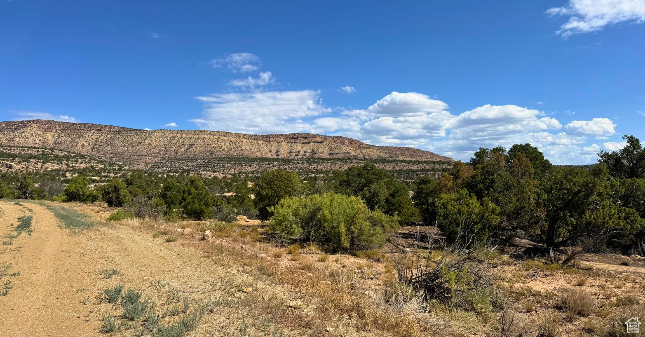 COYOTE HILLS SOUTH - Land
