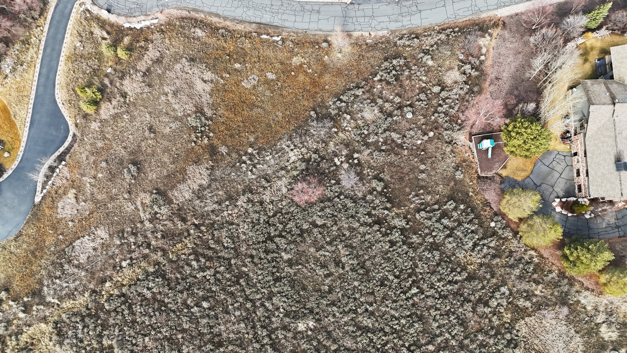 SUMMIT AT SKI LAKE - Land