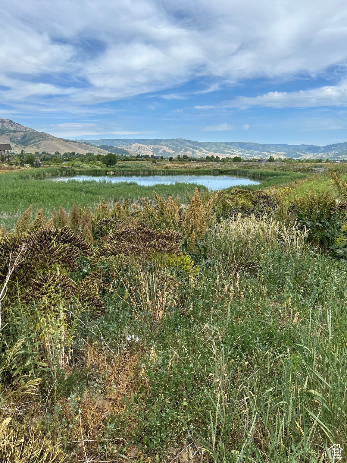 EDEN LAKE MEADOWS 1 - Land
