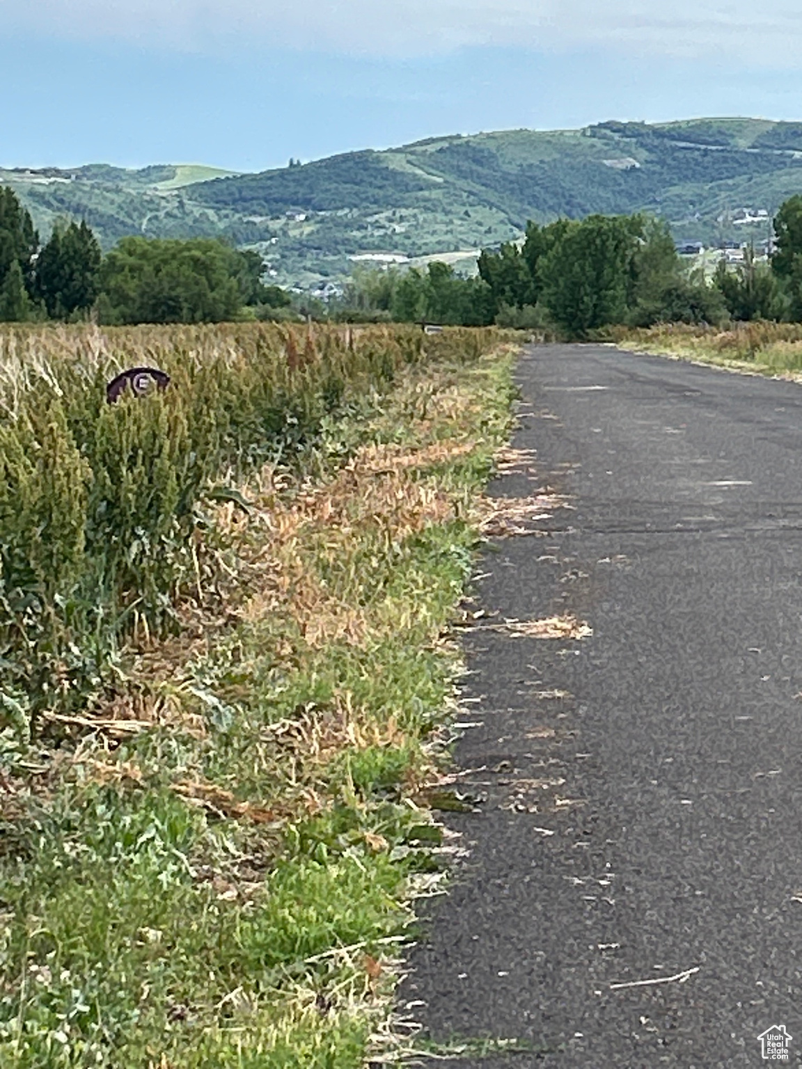 EDEN LAKE MEADOWS 1 - Land