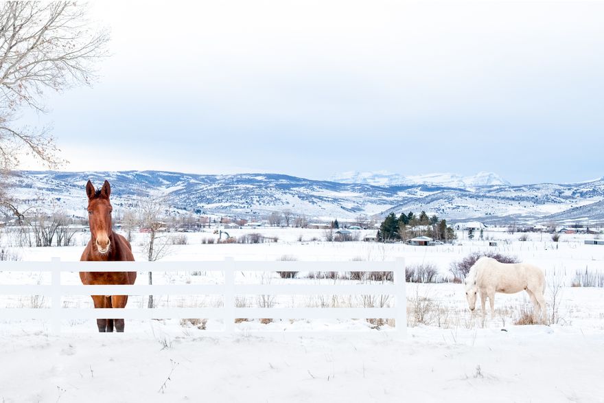 Discover a rare opportunity to own land in one of the most peaceful corners of Kamas Valley. Located just minutes from Park City, Stewart Estates offers only four 5-acre estate-style lots in a secluded yet accessible setting. These expansive parcels are equestrian-zoned and ready for your dream home - whether that's a mountain modern retreat, a legacy ranch, or a timeless farmhouse.  With sweeping views, open skies, quick river access, and a quiet landscape, Stewart Estates offers a lifestyle that's both grounded and inspiring. Wake to sunrise over the Wasatch Range and spend your days in connection with nature, family, and the land itself. This is a place for those who value space, freedom, and privacy - without sacrificing access to the amenities and energy of nearby Park City.  Developed by the visionary behind Wolf Creek Ranch, Stewart Estates blends thoughtful planning with natural beauty. With endless trails for hiking and outdoor recreation, an elegant entry monument, and perimeter fencing add to the neighborhood's character and charm.  Whether you're seeking open land for horses, a basecamp for outdoor adventures, or a peaceful place to build your forever home, Stewart Estates offers a one-of-a-kind chance to live with intention in a truly special setting.