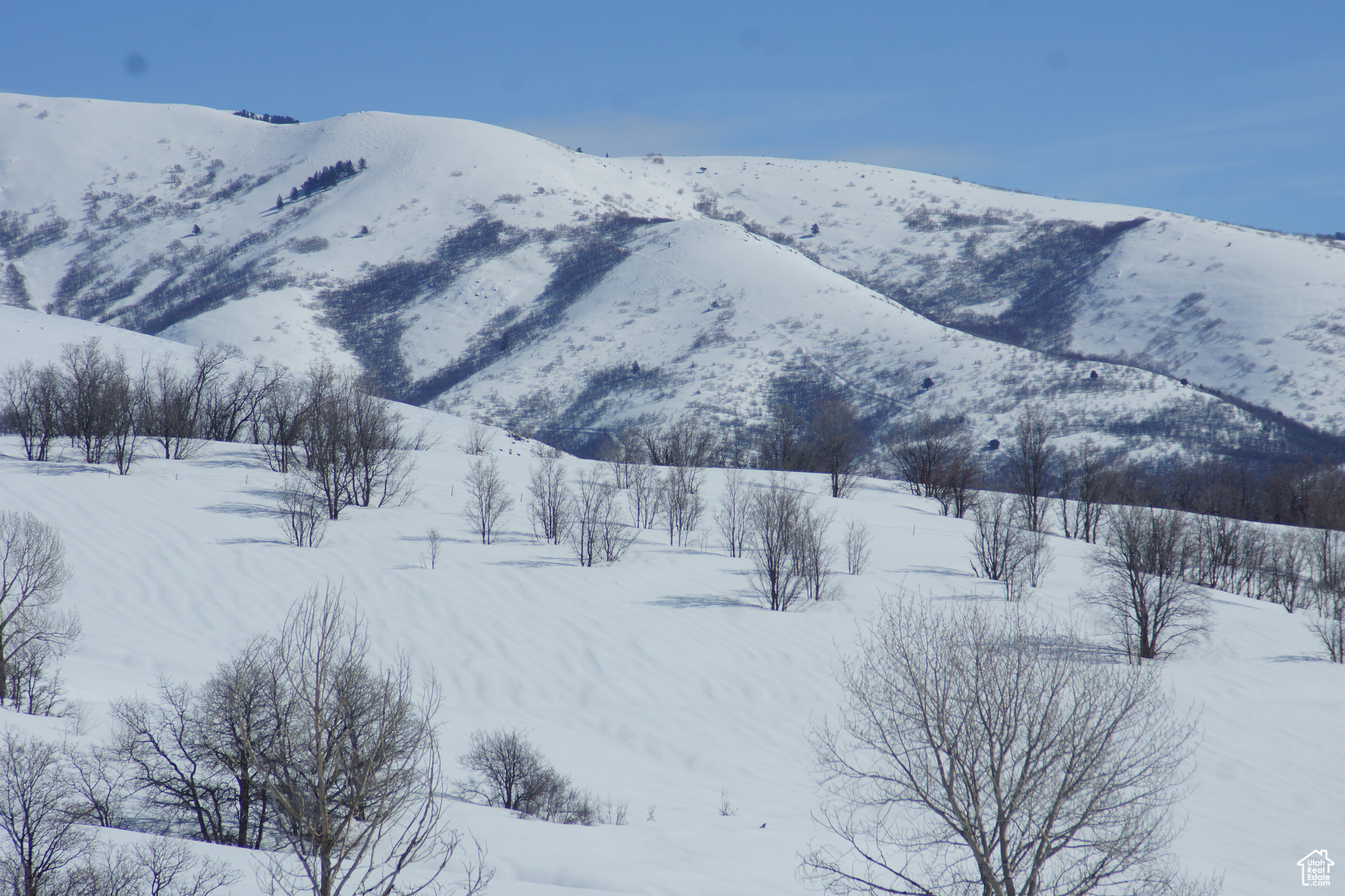 2265 E Lauren Ln #7, Liberty, Utah image 24