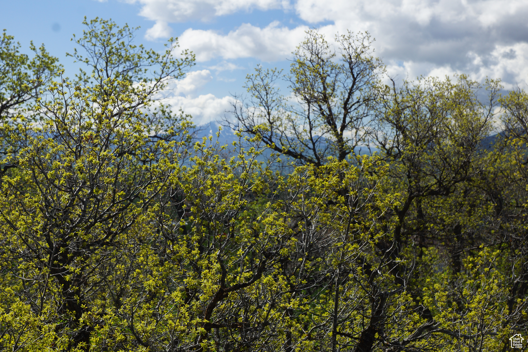 2265 E Lauren Ln #7, Liberty, Utah image 8