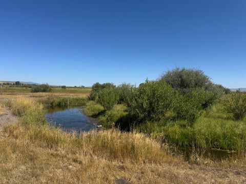 Vacant Land For Sale - Land<br/> Bear Lake County, Bloomington, ID 83223