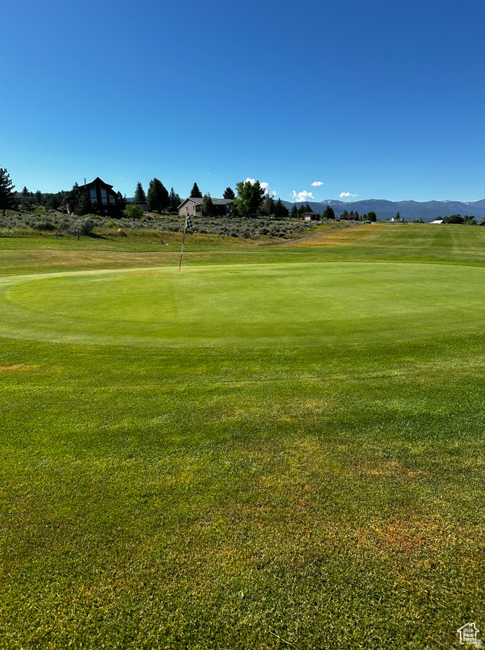 SKYLINE MOUNTAIN RESORT - Land