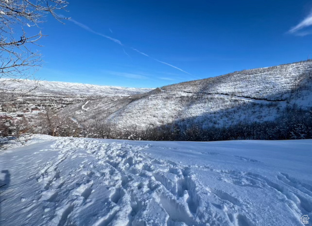 1429 Berrys Way, Midway, Utah image 12