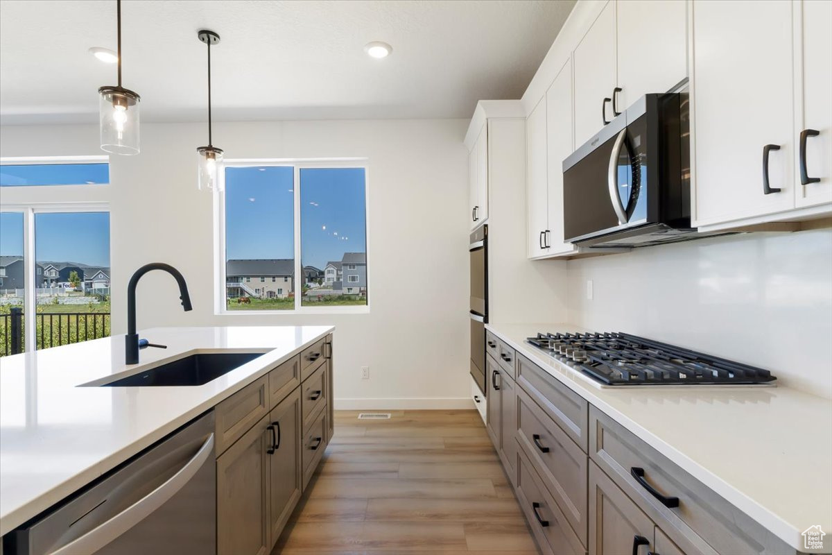 NORTH LAKE MEADOWS - Residential